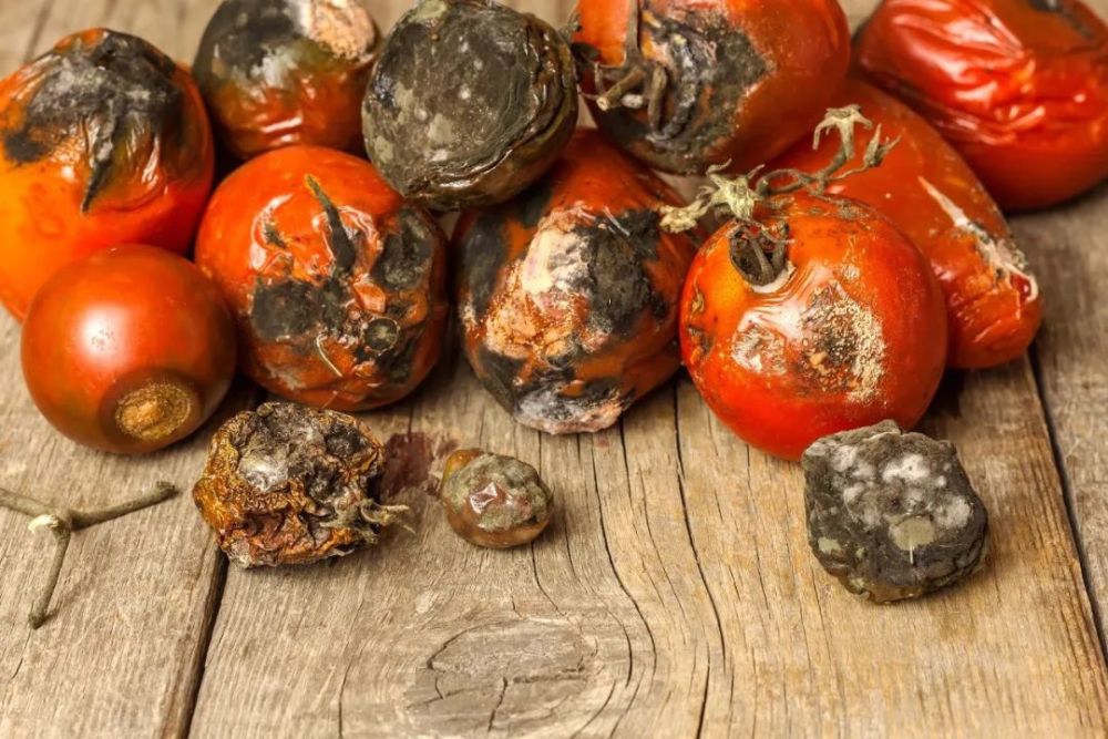 不到百元喝千元品質葡萄酒，意大利原瓶進口，氣泡綿密，口感柔順