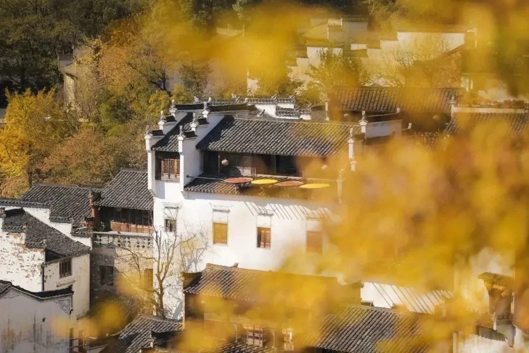 劍橋大學發現稀土永磁潛在替代品 或對中國稀土構成沖擊？