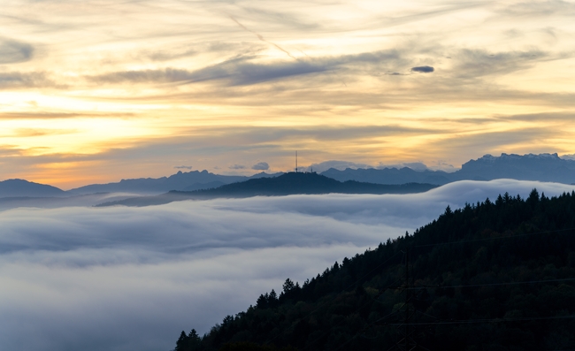 車險二次綜合改革6月1日正式實施0.25%“底價”能否普及？