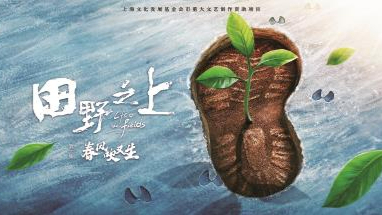 大S遺產(chǎn)分配方案塵埃落定，兩任丈夫成最大贏家！