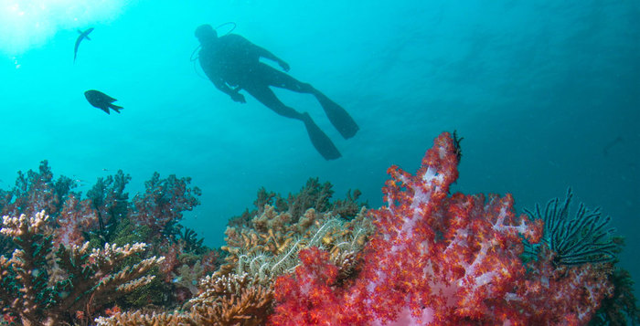 葉國富集權(quán)永輝：一場零售業(yè)的權(quán)力游戲與轉(zhuǎn)型挑戰(zhàn)