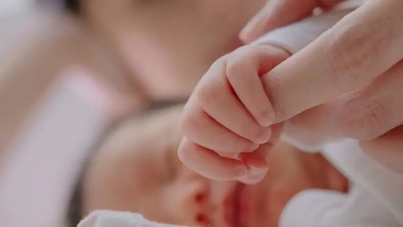 21 次舉牌，險資狂買：低利率時代的權益資產增配潮