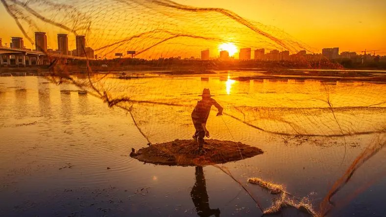 一場5萬變1億的虛擬冒險(xiǎn)